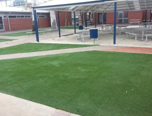 titan-gal-10 fake turf