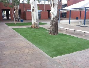 titan-gal-8 best artificial grass
