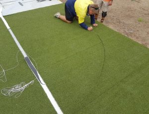 titan-gal-85 artificial grass for dogs