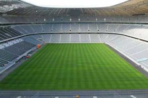 best artificial grass