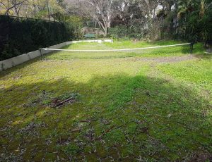 tennis-before synthetic turf