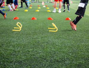 tt seo-002 Artificial Turf for Schools