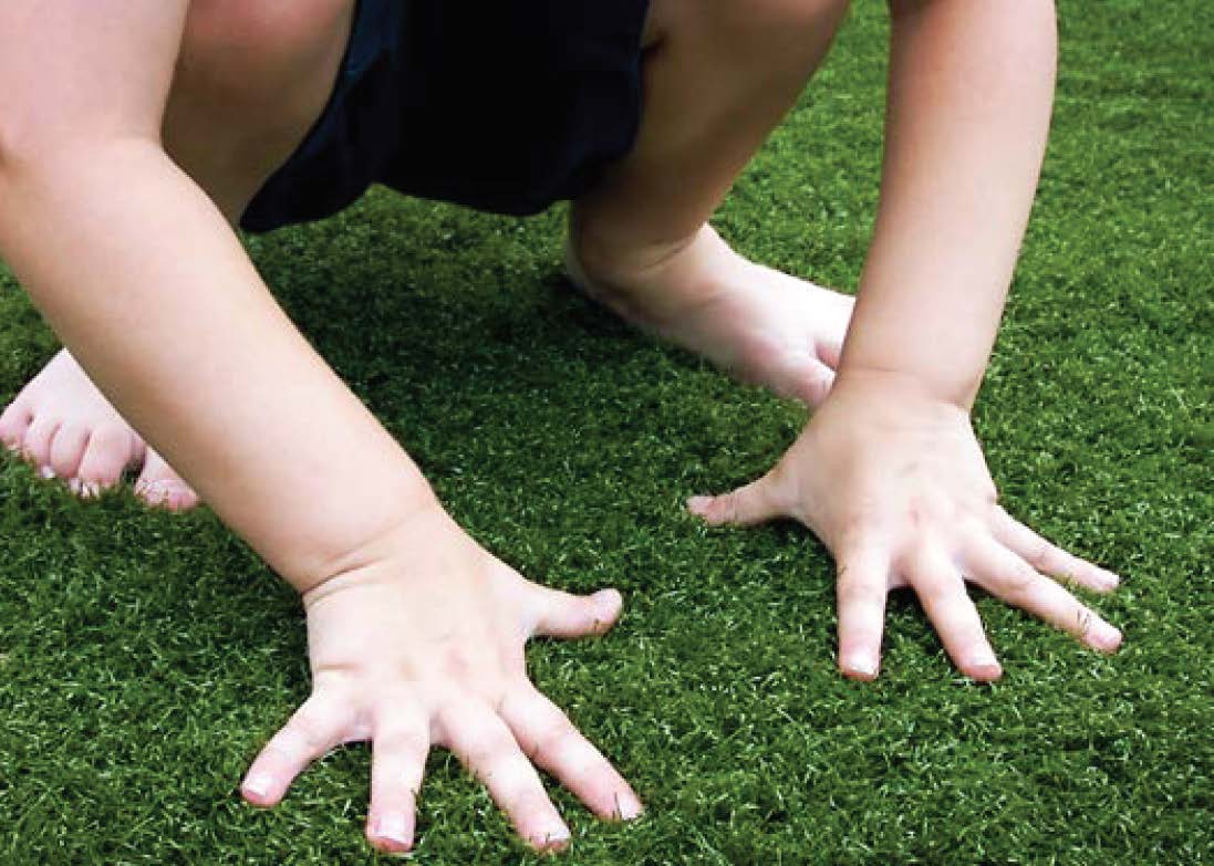 artificial lawn