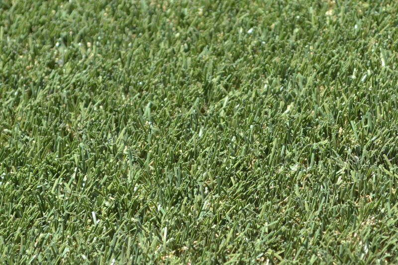 artificial grass