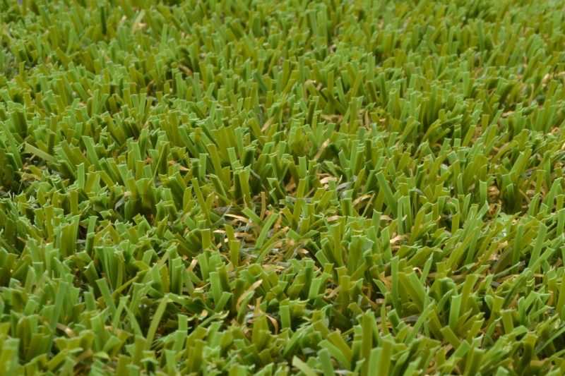 Classic GT 40 Close Up
